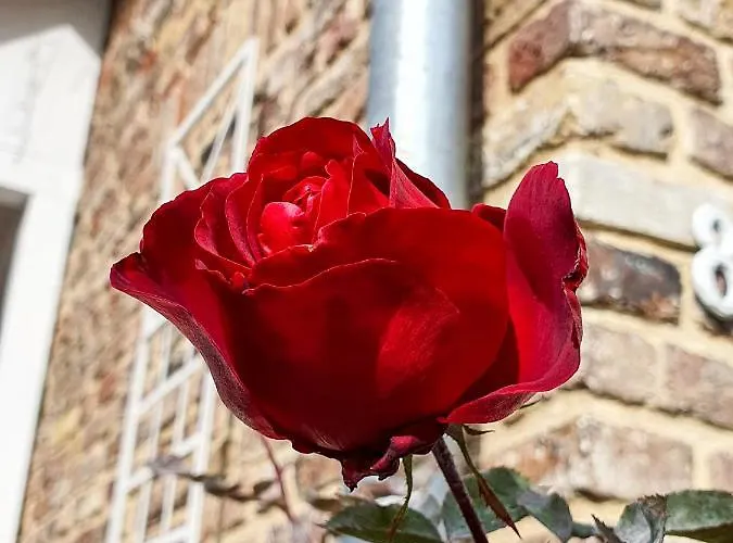 Friendly - Gemuetliches Backsteinhaus