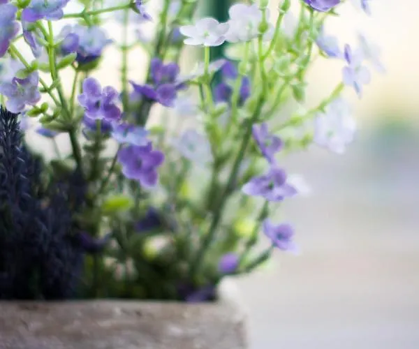 Friendly - Gemuetliches Backsteinhaus Bornheim (Rheinland)